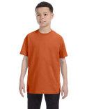 Gildan 5.3 oz. Heavyweight Cotton Tee