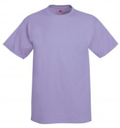 Hanes 6.1 oz. 100% Cotton Tee