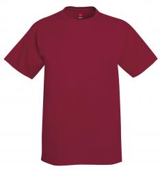 Hanes 6.1 oz. 100% Cotton Tee