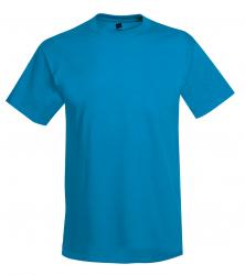 Hanes Heavyweight 50/50 Tee