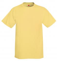 Hanes 6.1 oz. 100% Cotton Tee