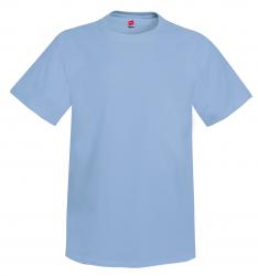 Hanes 6.1 oz. 100% Cotton Tee