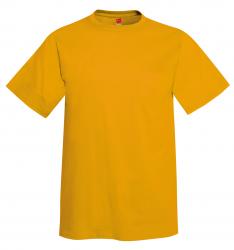 Hanes 6.1 oz. 100% Cotton Tee