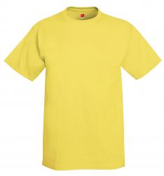 Hanes 6.1 oz. 100% Cotton Tee