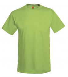 Hanes Heavyweight 50/50 Tee