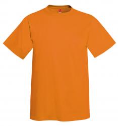 Hanes 6.1 oz. 100% Cotton Tee