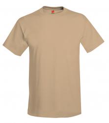 Hanes Heavyweight 50/50 Tee