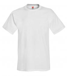 Hanes Heavyweight 50/50 Tee