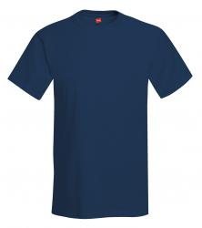 Hanes Heavyweight 50/50 Tee