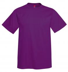 Hanes 6.1 oz. 100% Cotton Tee