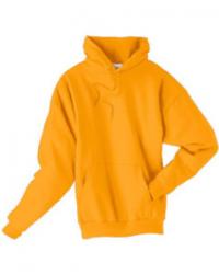 Hanes Comfortblend Hoodie