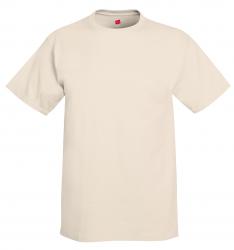 Hanes 6.1 oz. 100% Cotton Tee