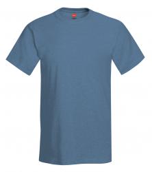 Hanes Heavyweight 50/50 Tee