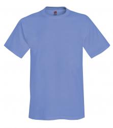 Hanes Heavyweight 50/50 Tee