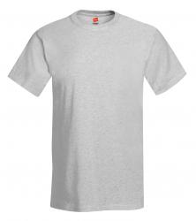 Hanes Heavyweight 50/50 Tee