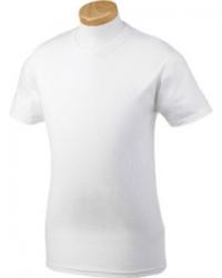 Gildan 4.5 oz. Softstyle Adult T-Shirt