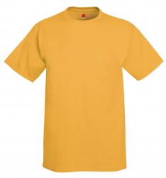 Hanes 6.1 oz. 100% Cotton Tee