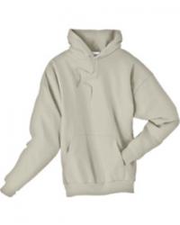 Hanes Comfortblend Hoodie