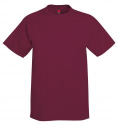 Hanes 6.1 oz. 100% Cotton Tee