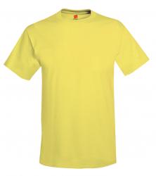 Hanes Heavyweight 50/50 Tee