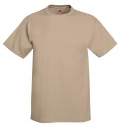 Hanes 6.1 oz. 100% Cotton Tee