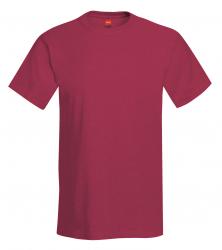 Hanes Heavyweight 50/50 Tee