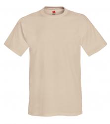 Hanes Heavyweight 50/50 Tee