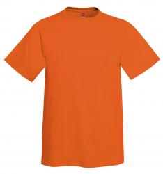 Hanes 6.1 oz. 100% Cotton Tee