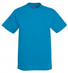 Hanes 6.1 oz. 100% Cotton Tee