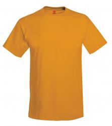 Hanes Heavyweight 50/50 Tee