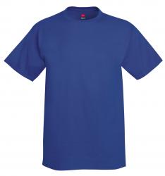 Hanes 6.1 oz. 100% Cotton Tee