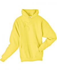 Hanes Comfortblend Hoodie